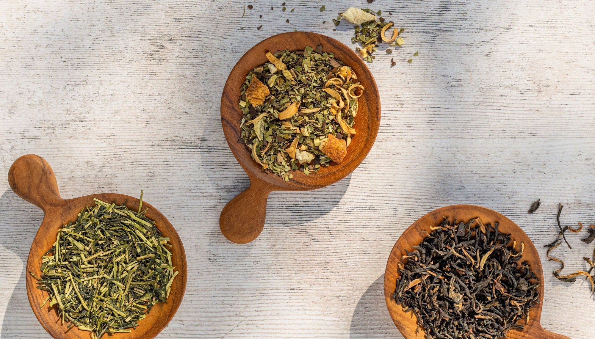 Inside the Infusion - Green and Black tea explained