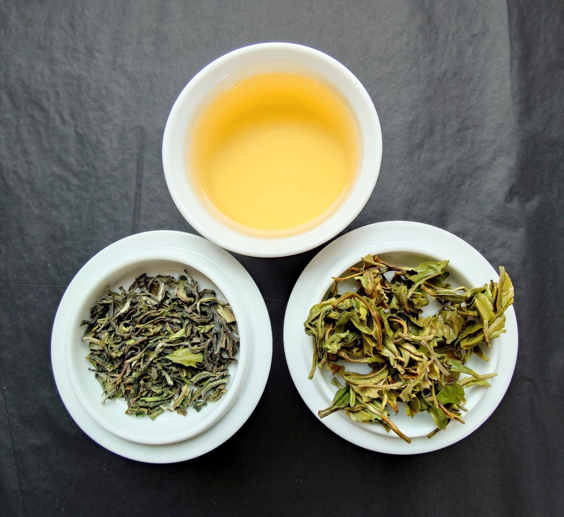 Inside the Infusion - Darjeeling First Flush
